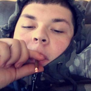 Meet your Posher, Pollo